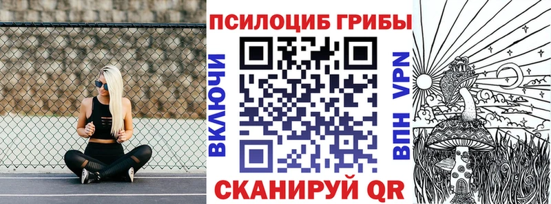 что такое   Мезень  Галлюциногенные грибы GOLDEN TEACHER 